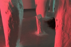 INTERIOR AND EXTERIOR CONFLICT, 2017, mixed media installation, 12 by 7 by 9 ft.