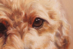 Cosmo, detail, 2024, oil paint