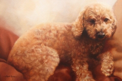 Cosmo, 2024, oil paint
